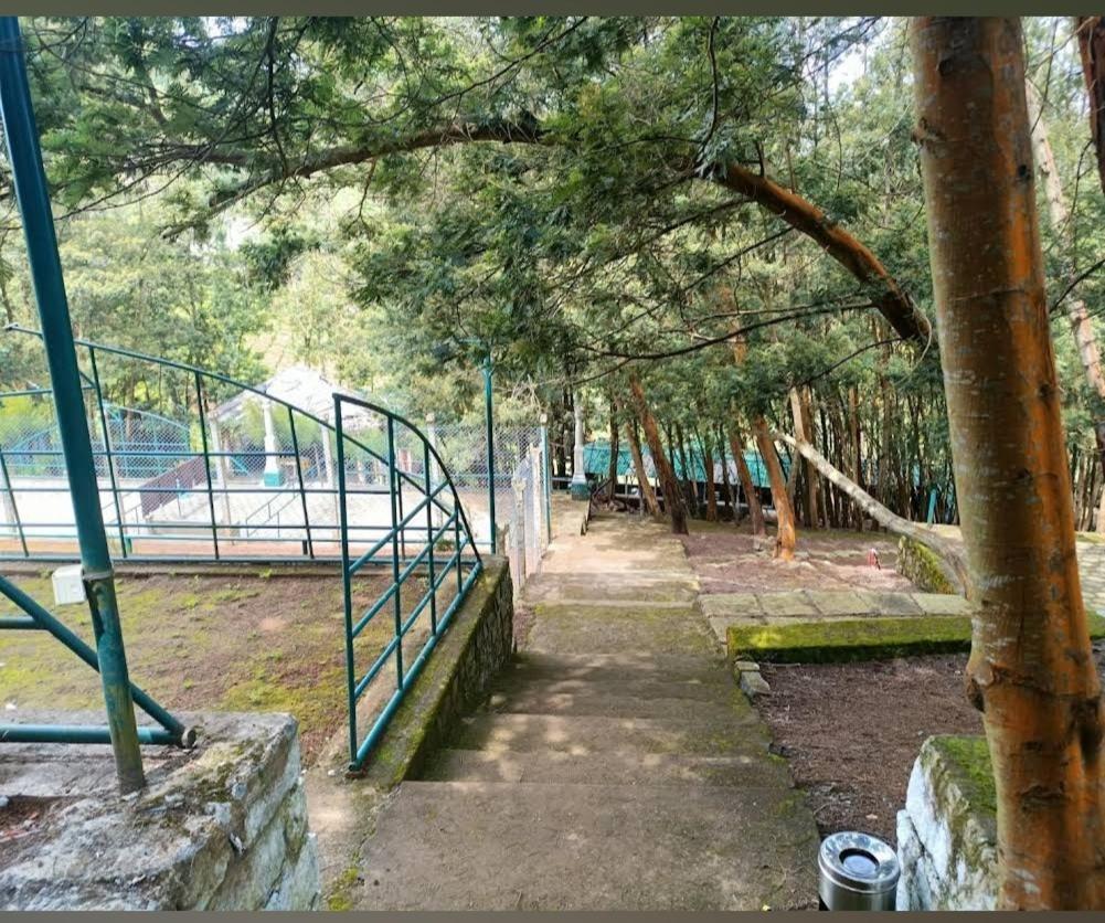 The Den By Trees Hotel Kotagiri Luaran gambar